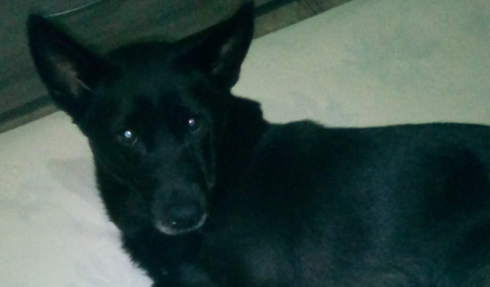 Meg pede sua ajuda !