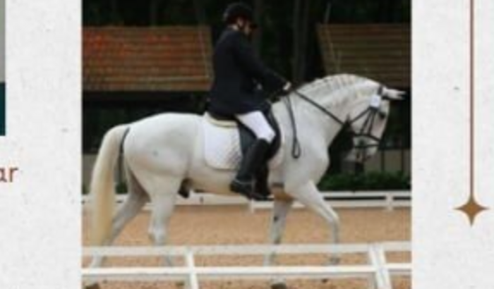 Apoio ao atleta paraequestre Luiz Felipe Menin