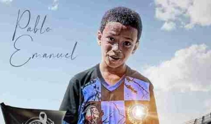 VAKINHA PARA CONFECÇÃO DA ARTE DO MENINO PABLO EMANUEL 