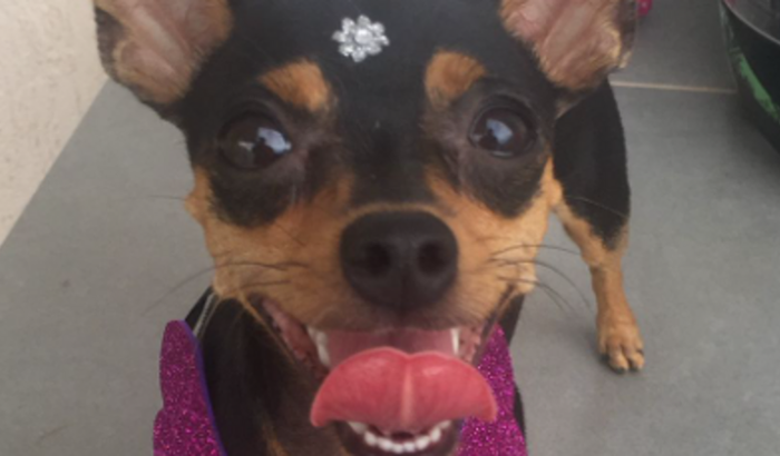 AJUDE NA CURA DA MELZINHA