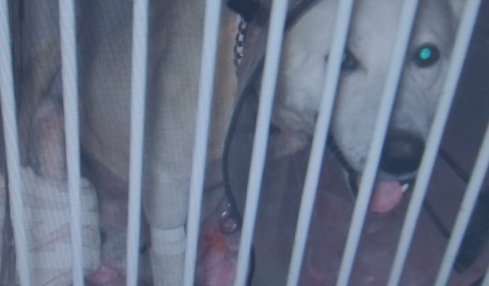 JACK PRECISA DA TUA AJUDA