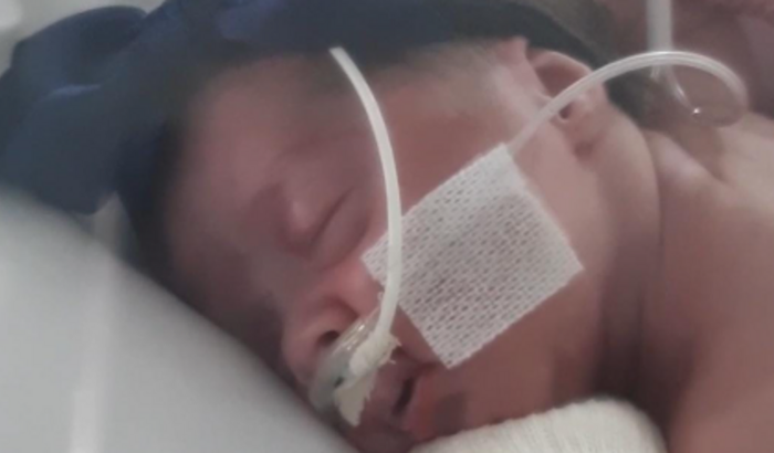 Vaquinha para a loja da Zoe