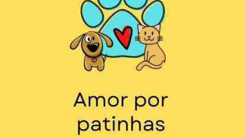 imagem da vaquinha Ajuda para comprar uma casa pro meus animais 