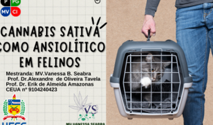 Apoie a pesquisa clínica- Cannabis como ansiolítico em felinos