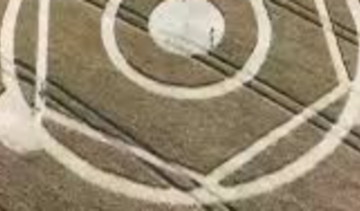 Viagem de pesquisa para pesquisar um CropCircle de Ipuaçu SC