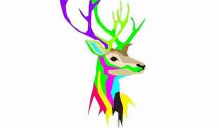 Ajuda para manter a realização de eventos latinos em São Paulo.