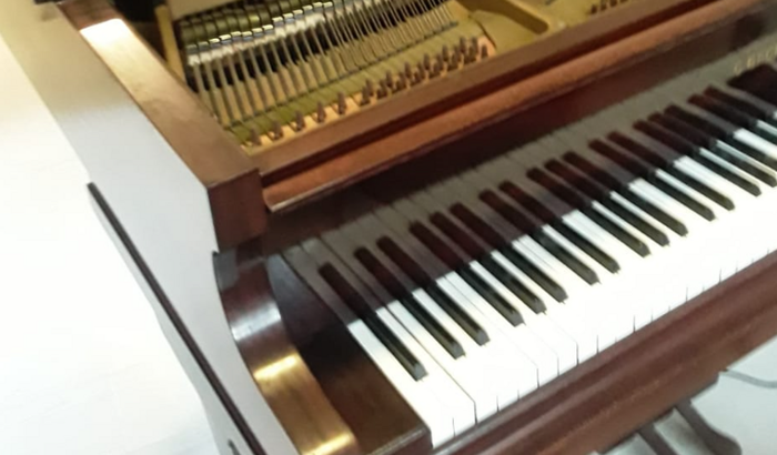 Adoção de um Piano de Cauda: ajude-me a transportá-lo