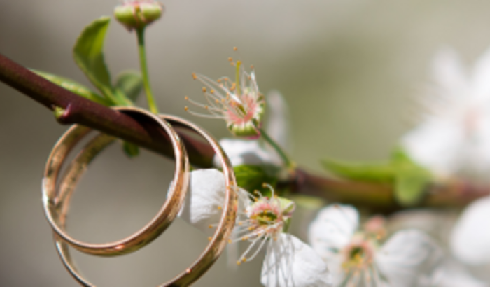 Casamento do Matheus