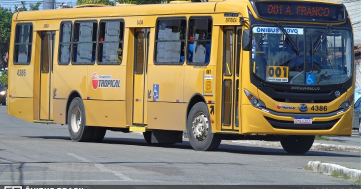 438x Bus Encomendar o mod padrão 438x da Progresso | Vaquinhas online