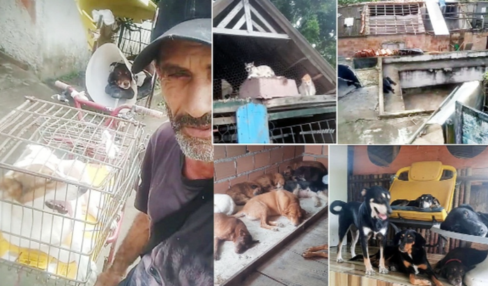 Reforma do Abrigo e Ração para 120 Animais