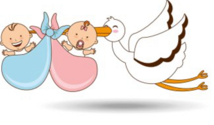 Bebês a caminho. Edwin será papai! 