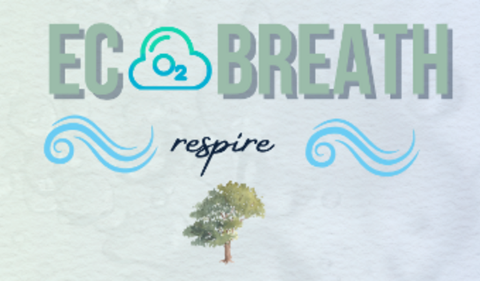 ajuda para o projeto EcoBreath