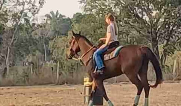 Vaquinha centro de treinamento GF