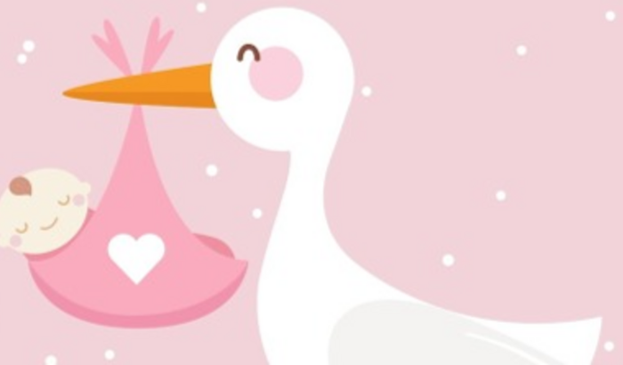 (Wanderson)  - Chá de fraldas Liz