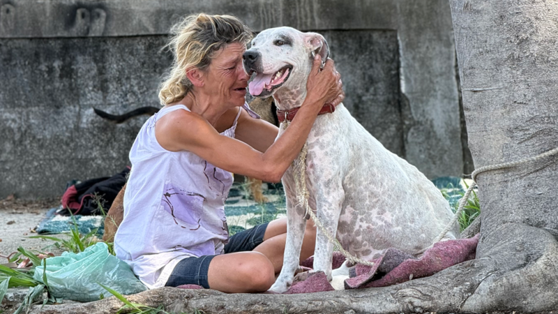 Hotelzinho pra tequila 🐶