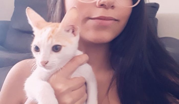 doação p/cirurgia de fratura de fêmur do pequeno gatinho Órion
