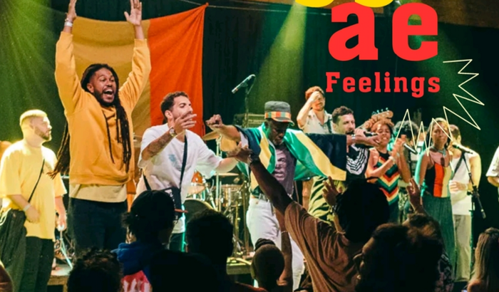 Primeiro disco Reggae Feelings Coletânea com vários cantores 