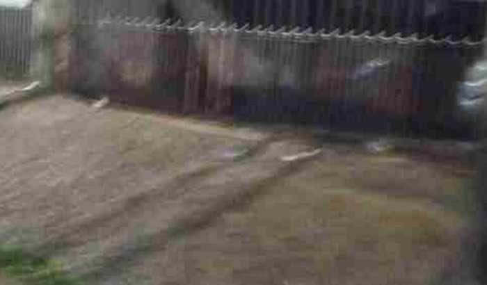 Ajuda para meus filhos 