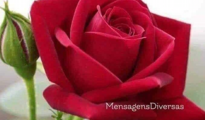 Ajuda para Valdirene e Valdenia