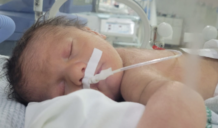 Ajude o pequeno Israel