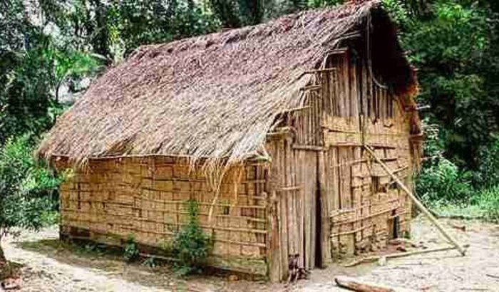 Ajudar a comprar material de castração de casas