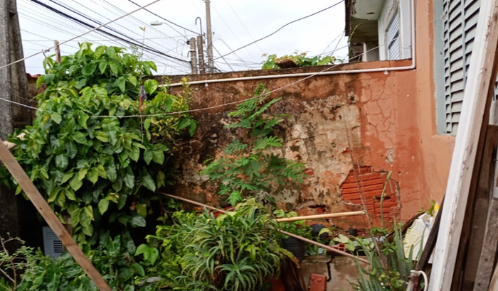 Construção do muro