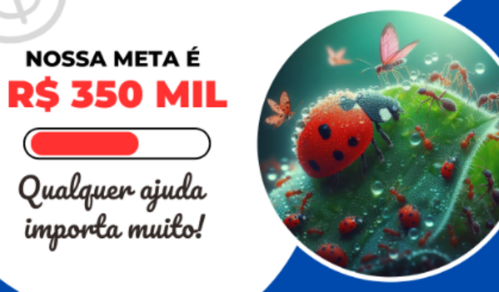 Projeto para criação de jogo educacional voltado para biologia