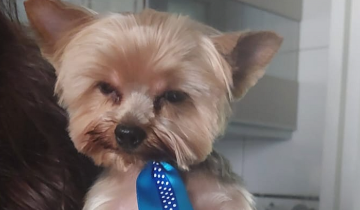 Cirurgia de emergência MIKE