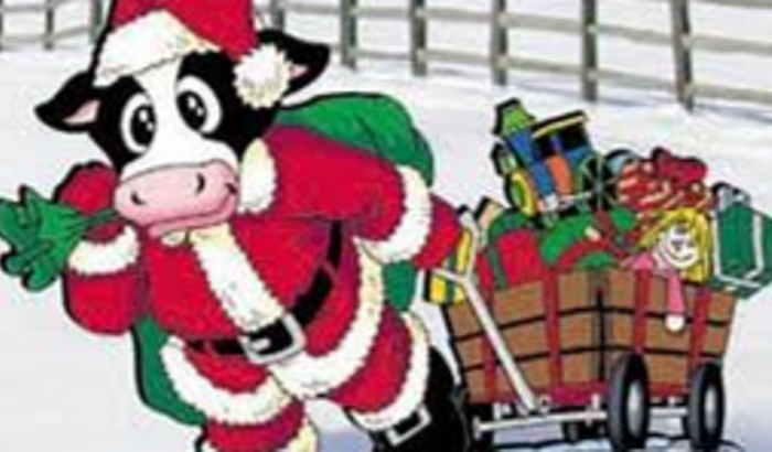 Funcionários Campos do Conde