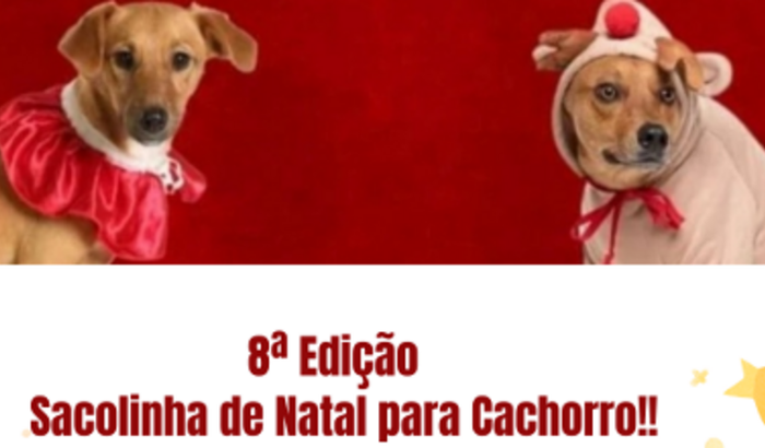 8ª Edição Sacolinha de Natal para Cachorro!!