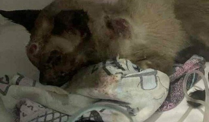 Esse é o Ronildo ele precisa muito da sua ajuda