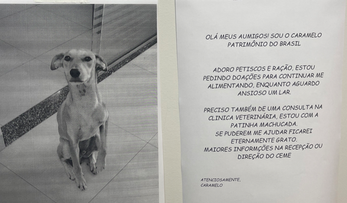 AJUDE O CARAMELO DO CEME 