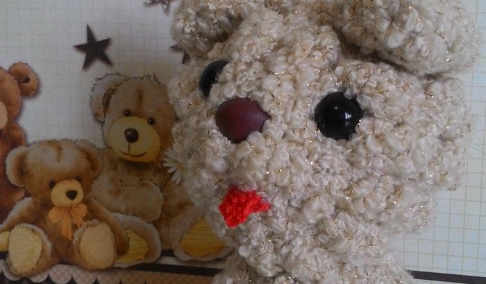 Pata Solidária - Abril