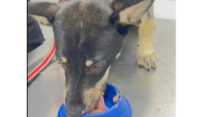 Vamos ajudar na cirurgia do Washington