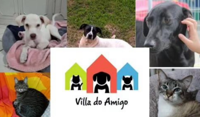 Os animais precisam da nossa união !