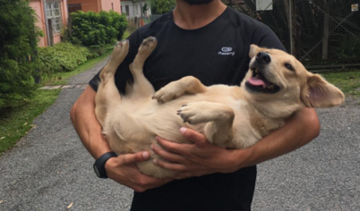 Custos de tratamento Pérola