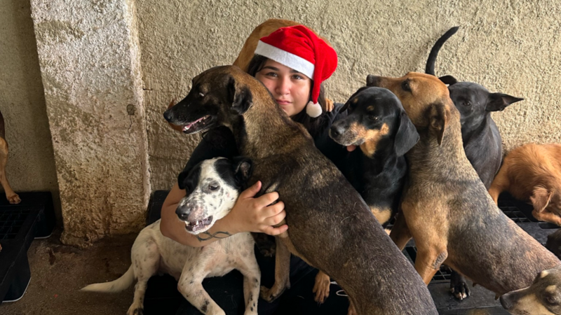 PAPAI NOEL, SÓ QUEREMOS UM NATAL SEM FOME ❤️‍🩹🐶🎅🏻🎄
