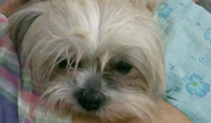 Bebell precisa de ajuda 🙏🏻