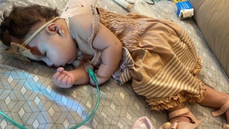 Custas Médicas Laura (SÍNDROME DE PATAU)