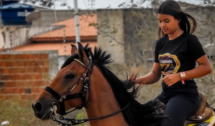 Mim ajudar pois meu cavalo foi roubado, e infelizmente n tenho condições de comprar outro pesso a sua ajuda por favor