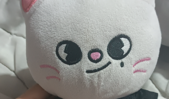 Ajuda comprar ingresso stray kids 