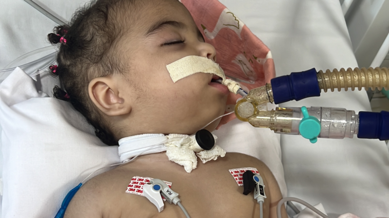 Ajude a Maria a conquistar o tão sonhado "Pescocinho Livre"