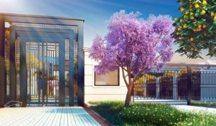 Colaboradores Living Wish Lapa