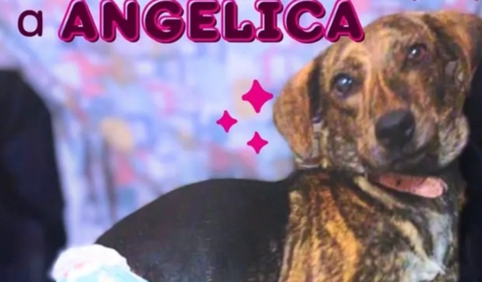 NOSSO MINE ABRIGO SANTUARIO