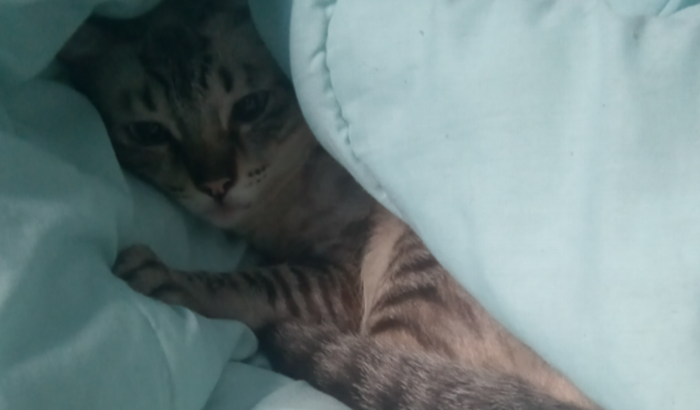 Ajude na recuperação da Jane