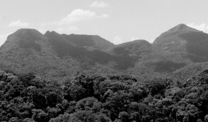 FINAL COPA LIBERTADORES