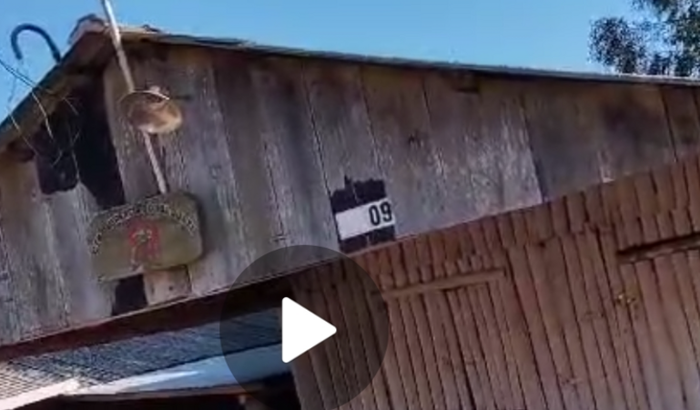 MELHORIAS GALPÃO DO CTG QUERÊNCIA  DO PAI QUATI NO PARQUE RINCÃO DAS CARRETASI