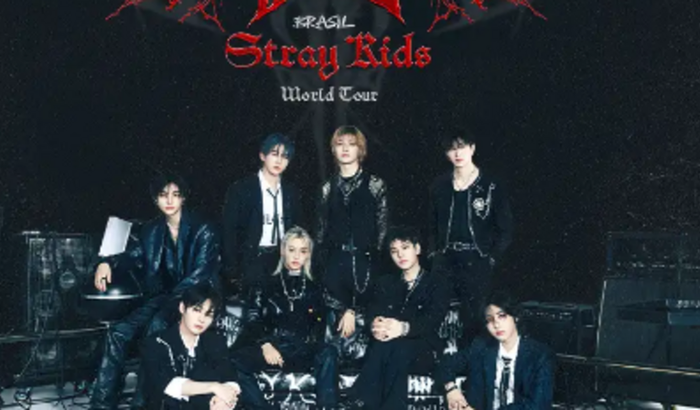 ajudar a comprar ingresso para o show do stray kids