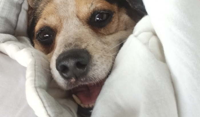 Ajude o Billy fazer a cirurgia