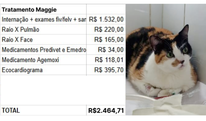 Ajude a Maggie a Respirar Melhor!